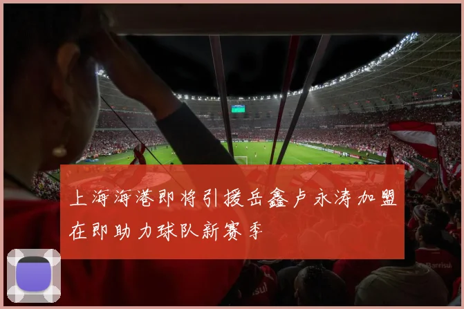上海海港即将引援岳鑫卢永涛加盟在即助力球队新赛季