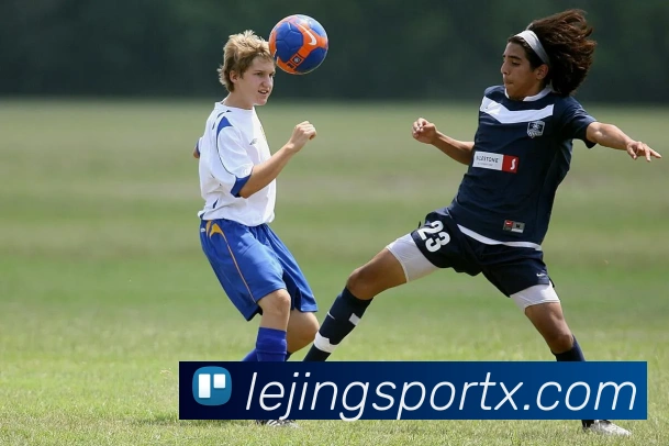 乐竞体育平台生态图